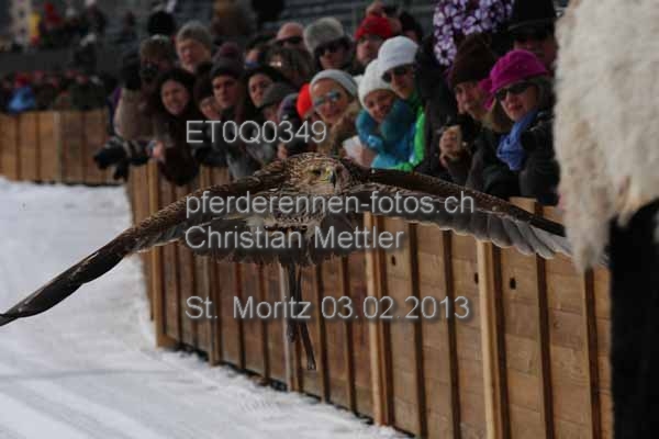 ET0Q0349 prot